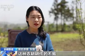 采摘竹笋、下河摸鱼……“五一”假期乡村游备受青睐图片