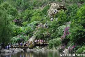 润哥探游|一年新增八百家，假期却限量接团！济南旅行社艰难重生图片