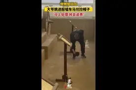 博物馆回应大爷跳进殷墟车马坑捡帽子：“马上处理，将会追责”图片