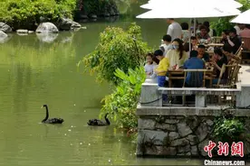 遇见福建：湖畔品茗赏美景图片