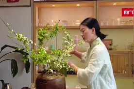 我和一片茶的故事丨新农人杨静：用热爱泡一杯好茶  让毛尖茶香飘满全国图片