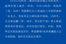 汕头警方通报男子撞到狗被打：犬主曾任村干部，5名嫌疑人已到案图片