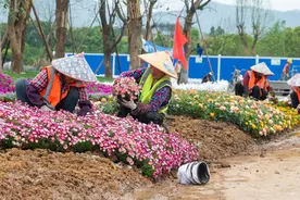 金华：露营基地建设忙图片