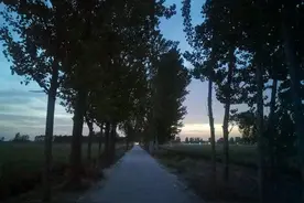 又一次看到蝙蝠（随笔）图片