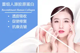 新兴赛道持续火热 重组胶原蛋白进入规范发展期图片