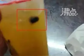 多次翻车？知名饮品被爆喝出蟑螂图片