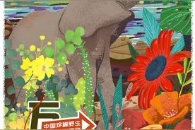 万物生长｜今日立夏图片