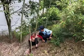 老人上山得救后发出“灵魂拷问”：你也是来挖笋的吗？图片