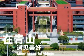 国际“钢三”来了！就在长江右岸等着你图片