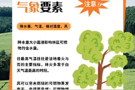 防患于“未燃”！森林防火，这些常识很重要！图片