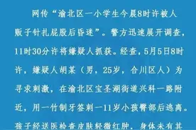 小学生被人贩子用针扎屁股昏迷？警方通报来了图片
