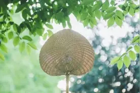 天气又湿又热，糖友们小心皮肤病找上门！图片