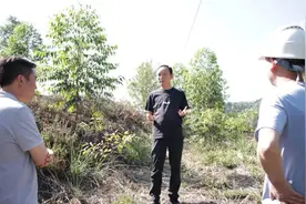 龙强到南部乡镇督导调研森林防火、饮水安全、烤烟移栽、生态环保等工作图片