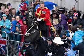 英国皇家骑兵队一匹马街头受惊狂奔 现场民众迅速躲避图片
