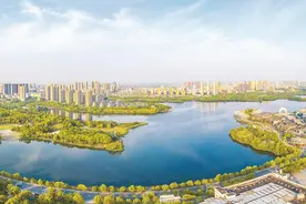 红土地绽放“新枫景”图片