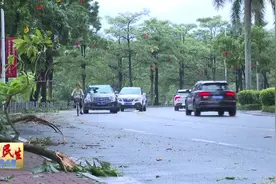 暴风雨下车损如何理赔 保险理赔人士为你支招图片