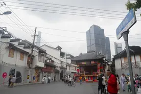 想撸猫？这些地方满足你图片