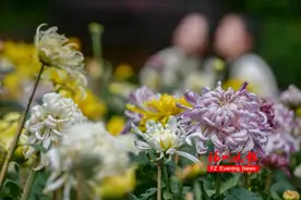 美照曝光！福州西湖又上新啦！图片