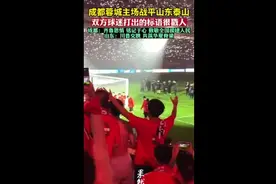 成都蓉城主场战平山东泰山，双方球迷打出的标语很戳人图片