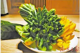 老香黄图片