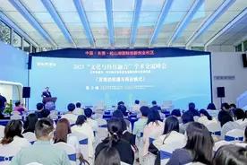 探寻东莞“元宇宙城市”建设，2023“文化与科技融合”学术交流峰会举行图片