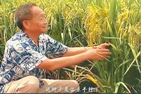 用歌曲“隔空对话” 我们的青春连着一个世纪图片