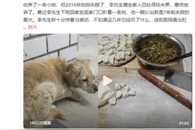 狗狗失踪7年后回家主人煮饺子庆团圆 十分惊喜与感动图片
