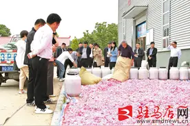 玫瑰花开出致富路图片