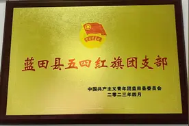 工行西安蓝田县团支部获评“蓝田县五四红旗团支部”图片