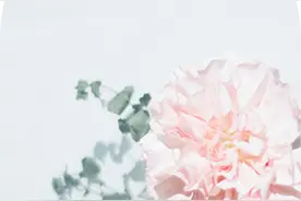 母亲节│带上妈妈，周末就出发，快收下这份母亲节出行攻略图片