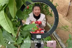 残疾人创业新生活：拄双拐做电商直播的陕西姑娘图片