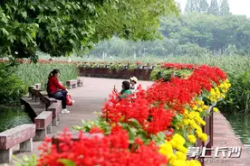 组图 | 湖南烈士公园风景如画好打卡图片