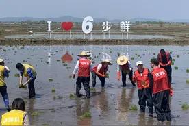 东北春耕忙  五常首当“鲜”图片