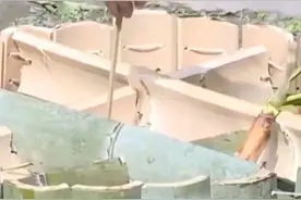 沉浸式吃播！大熊猫吃上九宫格“火锅”，这两只一上桌就把筷子当食物嚼图片