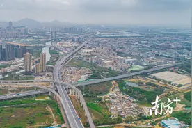 最美公路丨一路畅行，一览会呼吸的绿色坦洲快线图片
