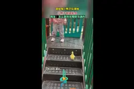 萌娃喊小鸭子玩滑梯，小鸭子超级配合，网友：怎么做到无障碍沟通的图片