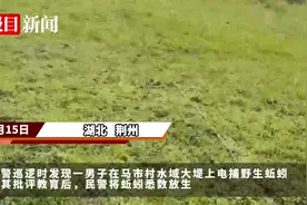 违法又危险！男子电捕蚯蚓被民警责令放生图片