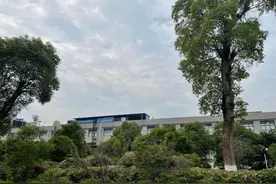 千亿锂王赣锋锂业：优质产能永不足，最该做的是提升技术能力图片