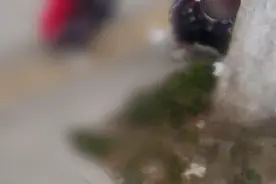 一根烤肠差点要命！救人的他还有一个身份……图片