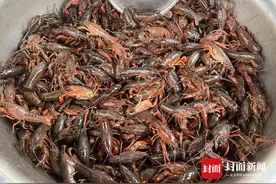 探访成都海鲜市场 小龙虾价格已跌至刚上市的一半图片