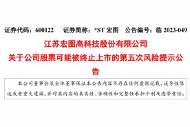 宏图高科发布公司股票可能被终止上市的第五次风险提示公告图片