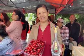 樱你而来，桃醉长清！五峰山万亩樱桃谷“红”了图片