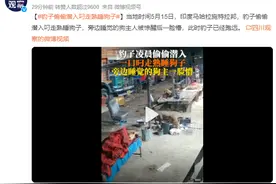 豹子闯入印度男子家中偷狗 偷偷潜入叼走熟睡狗子图片