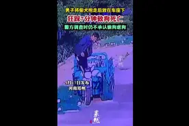 男子将柴犬抱走后放在车座下，狂踩7分钟致狗死亡，警方调查时仍不承认偷狗虐狗图片