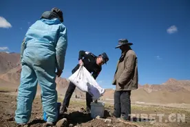 西藏日土边境派出所：田间地头助农忙 播撒青稞待丰收图片