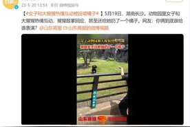 女子在动物园和大猩猩热情互动，猩猩鼓掌回应，还给她投喂橘子，网友：你俩到底谁给谁表演？图片