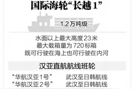 万吨海轮首次入境武汉图片