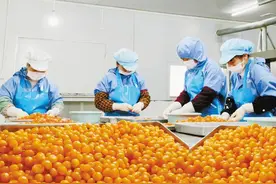 一个监利乡村企业家的振兴梦——最好的工厂在家乡 最好的日子在家里图片