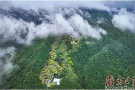 梅江 林和城相依 人和城相融图片