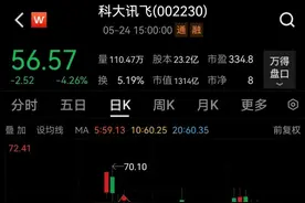 突遭谣传，千亿AI龙头股价跳水，最新回应来了！TMT板块大降温，昔日信创热门股一度12个跌停，两路资金出手抛售8股图片